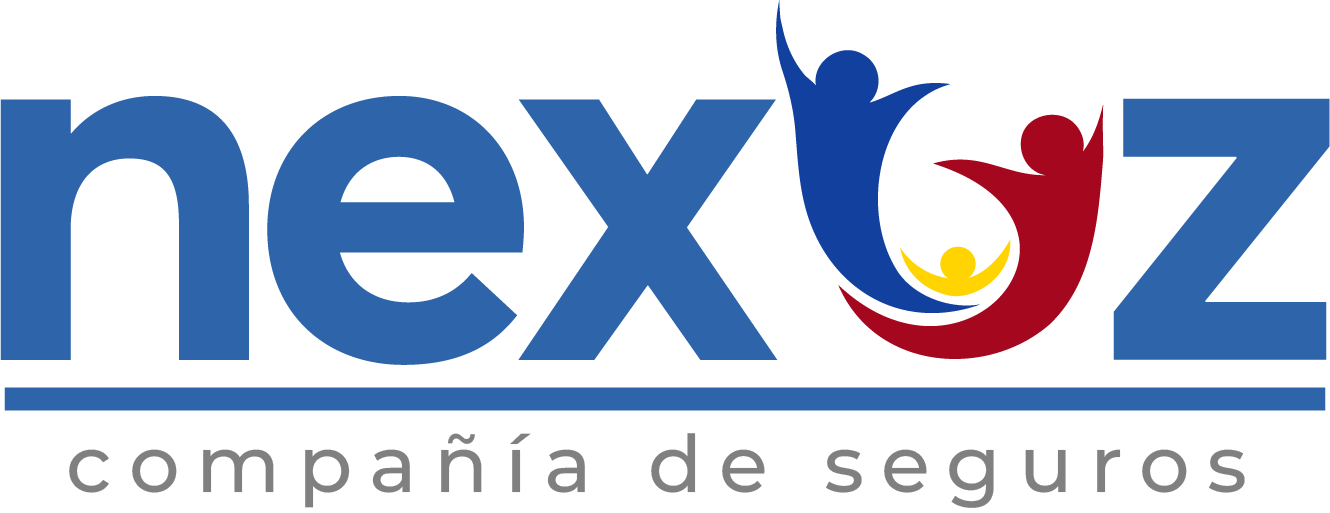 nexuzseguros.com